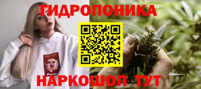 Альфа ПВП Кингисепп