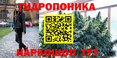 Альфа ПВП Кингисепп