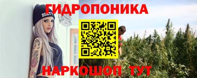 Альфа ПВП Кингисепп