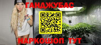Альфа ПВП Кингисепп