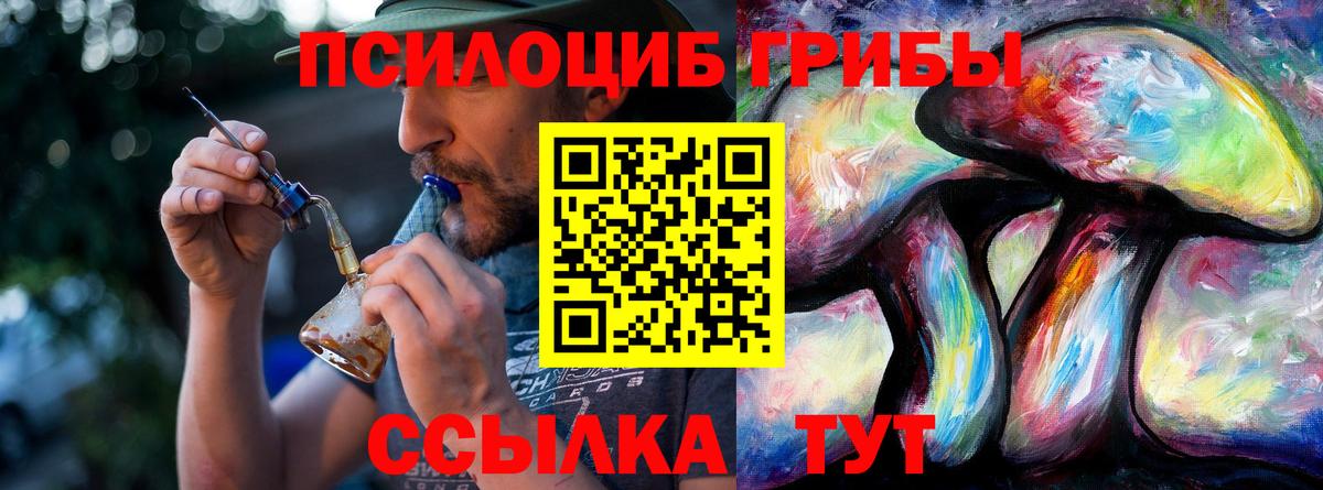 Галлюциногенные грибы прущие грибы  Галлюциногенные грибы мухоморы  Красноярск  Вход с VPN 